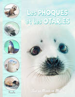 Les phoques et les otaries