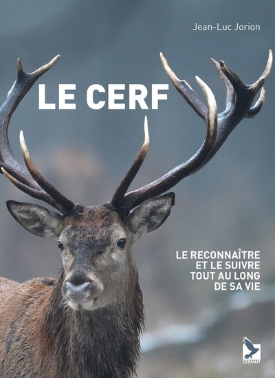 Le cerf