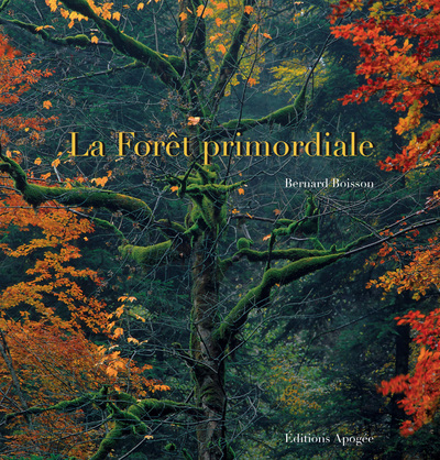 La Foret Primordiale