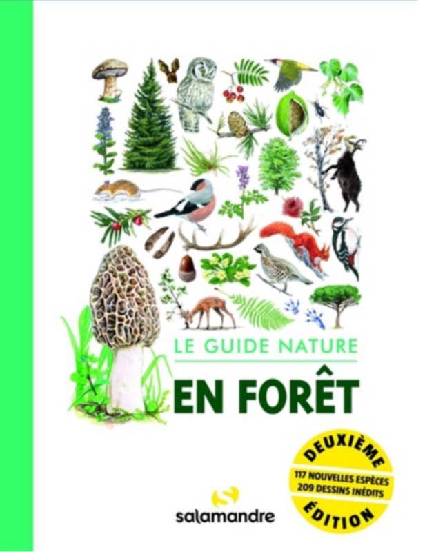 En forêt : le guide nature