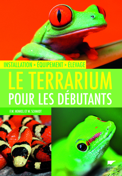 Le terrarium pour les débutants