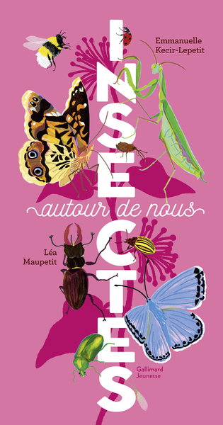 Insectes autour de nous