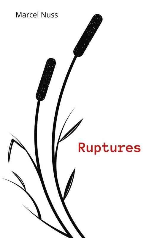 Ruptures - Marcel Nuss