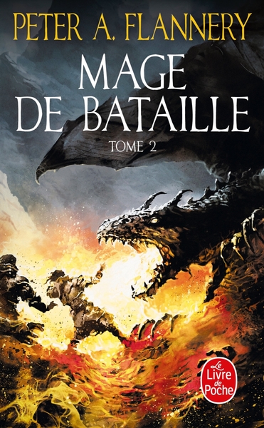 Mage de bataille Volume 2