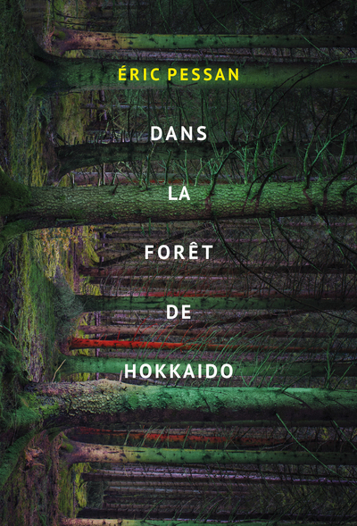 Dans La Forêt D'Hokkaido