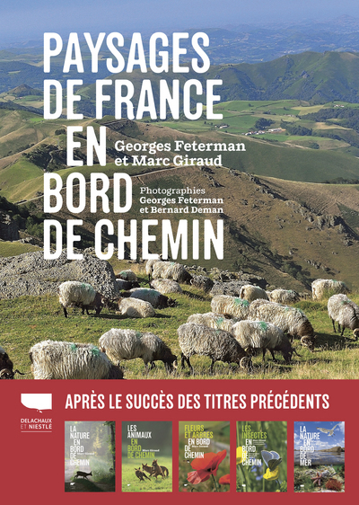 Paysages De France En Bord De Chemin