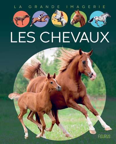 Les Chevaux