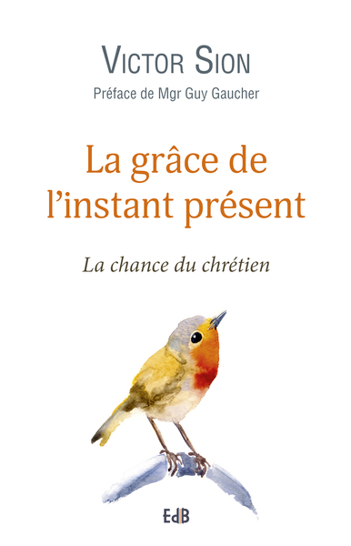 La grâce de l'instant présent - Victor Sion