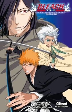 The Diamond Dust Rebellion - Bleach Anime comics - The Diamond Dust Rebellion