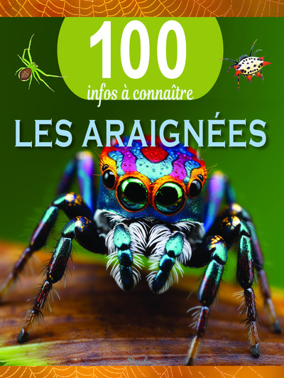 Les araignées - 100 infos à connaître