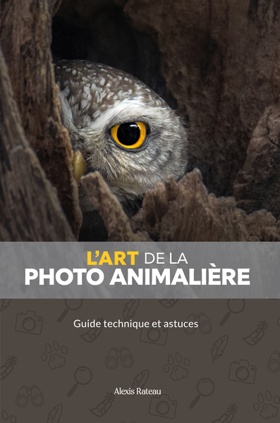 L'art de la photo animalière