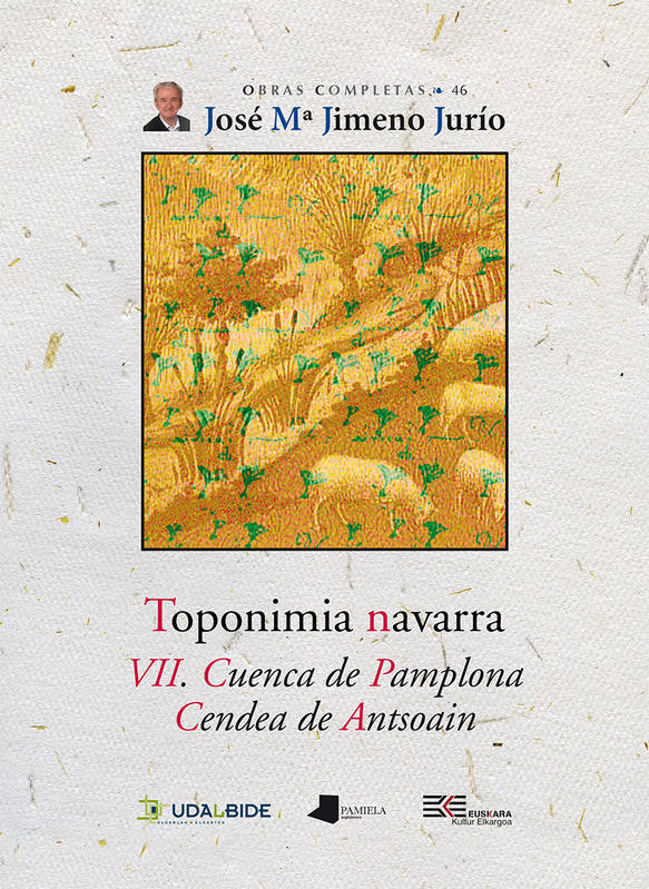 Toponimia Navarra Vii - Cuenca De Pamplona. Cendea De Antsoain