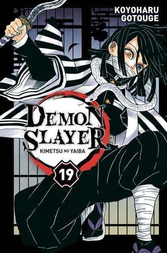 Demon Slayer Volume 19