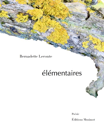 Élémentaires