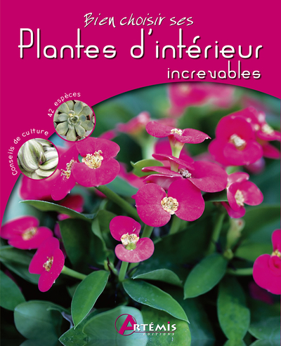 Bien Choisir Ses Plantes D'Interieur Increvables