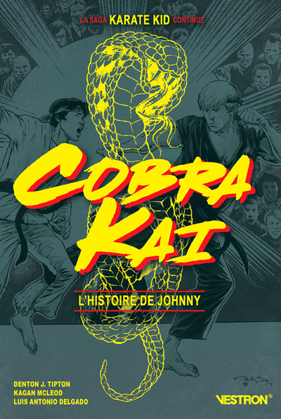 Cobra Kai, L'Histoire De Johnny