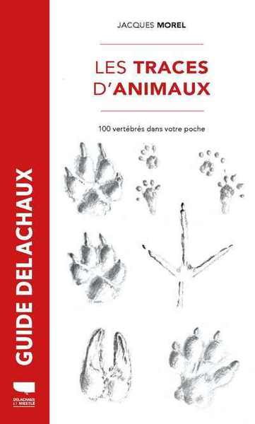 Les traces d'animaux