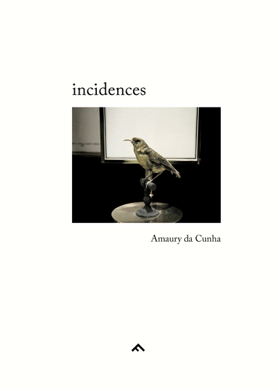 Incidences - Amaury da Cunha