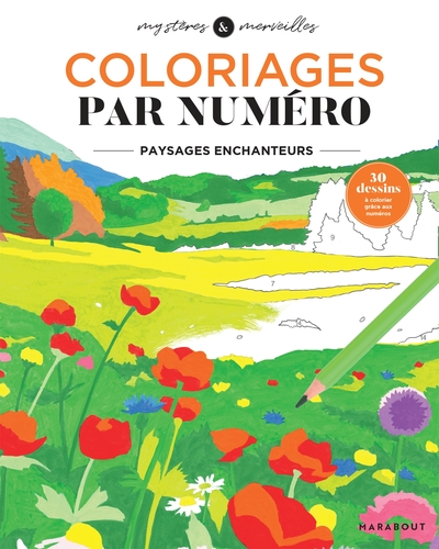 Coloriages mystères - Paysages enchanteurs - Collectif