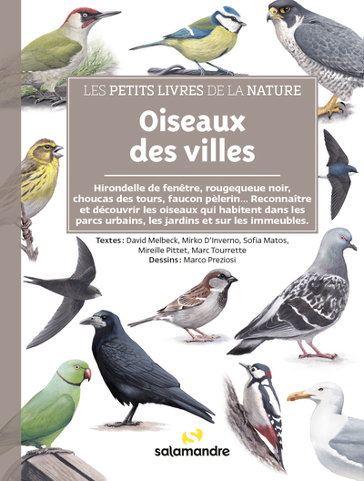 Les petits livres de la nature - Oiseaux des villes