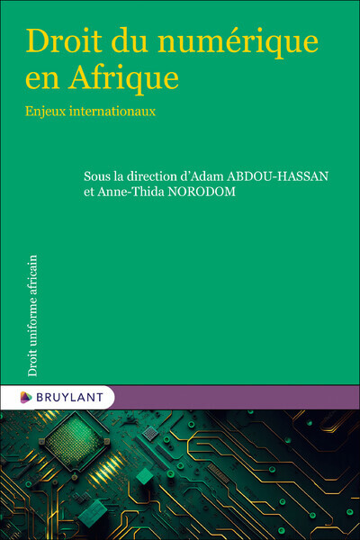 Droit du numérique en Afrique - Enjeux internationaux