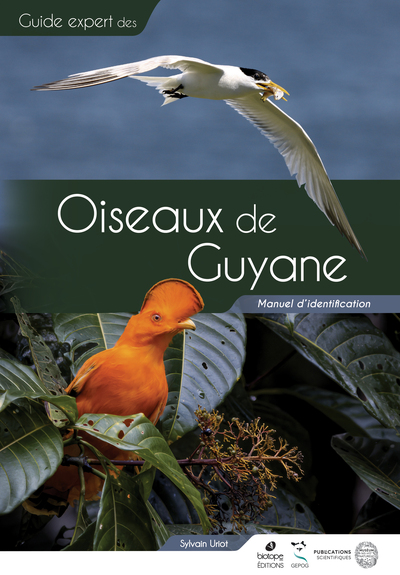 Guide Des Oiseaux De Guyane