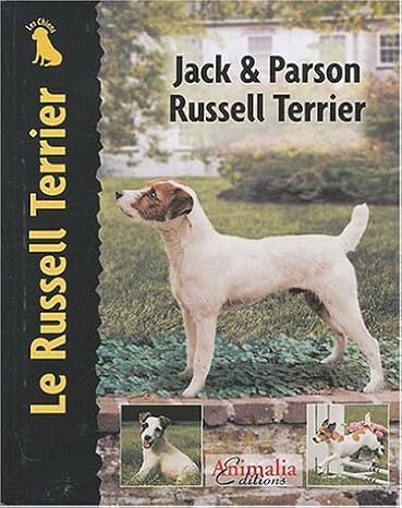 Jack & Parson Russell Terrier