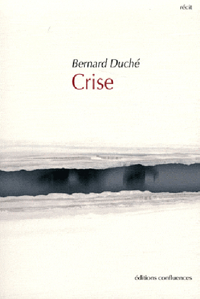 Crise - Récit, Récit