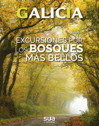 Galicia - Excursiones Por Los Bosques Mas Bellos