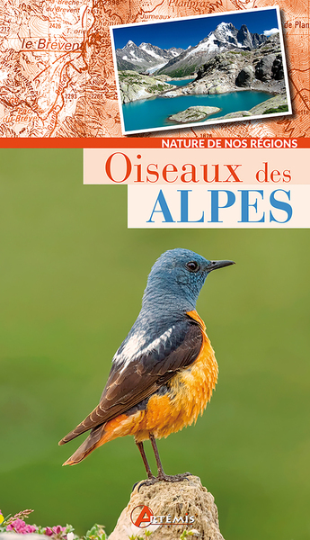 Oiseaux des Alpes - Collectif