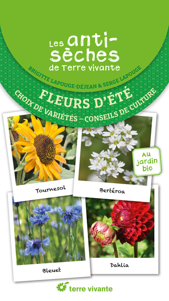 Les antisèches de Terre vivante : Fleurs d'été