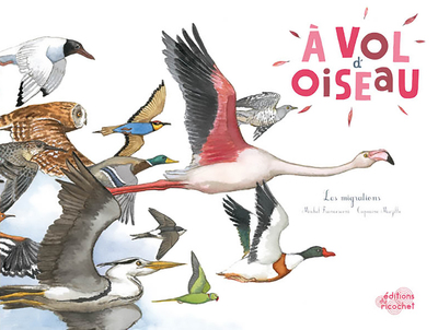 A vol d'oiseau - Michel Francesconi