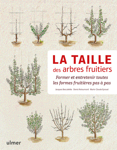 La taille des arbres fruitiers 