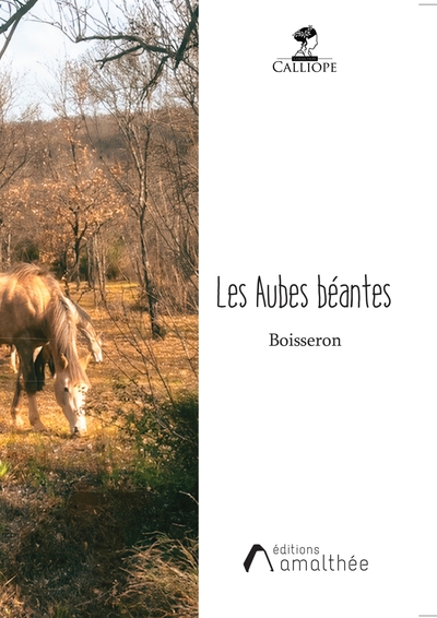 Les Aubes béantes