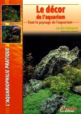 Le décor de l'aquarium