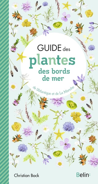 Guide des plantes des bords de mer