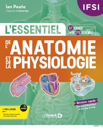 L'Essentiel De L’Anatomie Et De La Physiologie En Fiches, 57 Fiches - Plus De 170 Illustrations