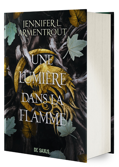 Une Lumière dans la flamme (relié collector) - Tome 02 La Chair et le Feu