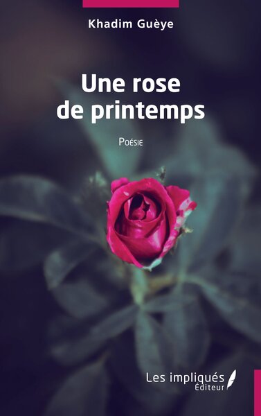 Une rose de printemps - Khadim Guèye