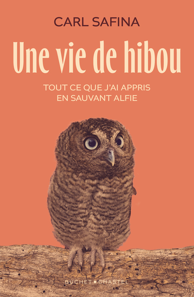 Une vie de hibou - Safina Carl