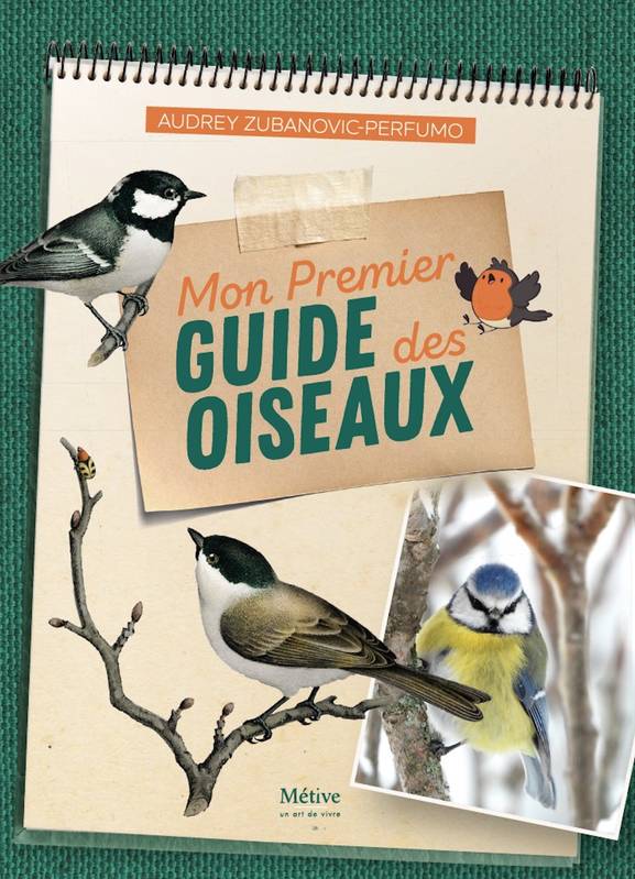 Mon premier guide des oiseaux - Audrey Zubanovic-Perfumo