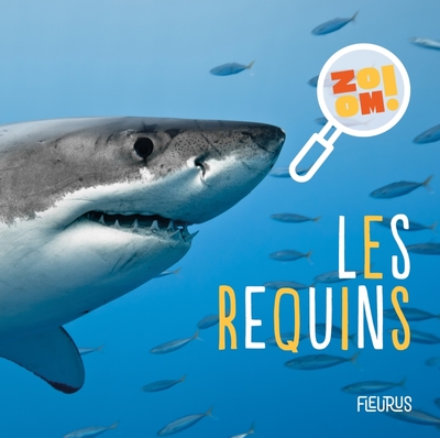 Les requins - Emmanuelle Kecir-Lepetit