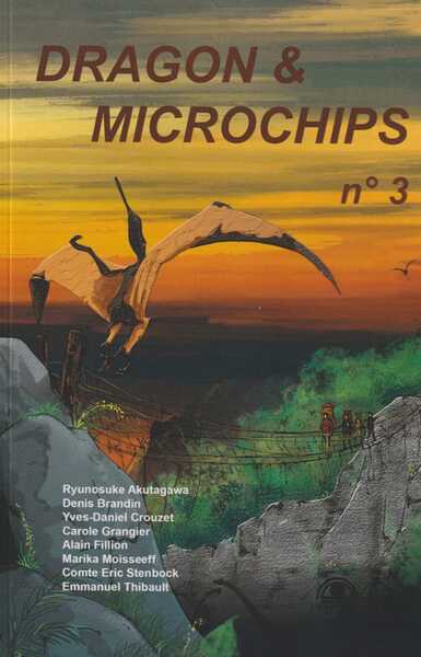 3 - Dragon & Microchips N°03