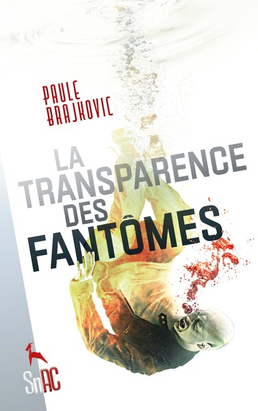 La Transparence des fantômes - Paule Brajkovic