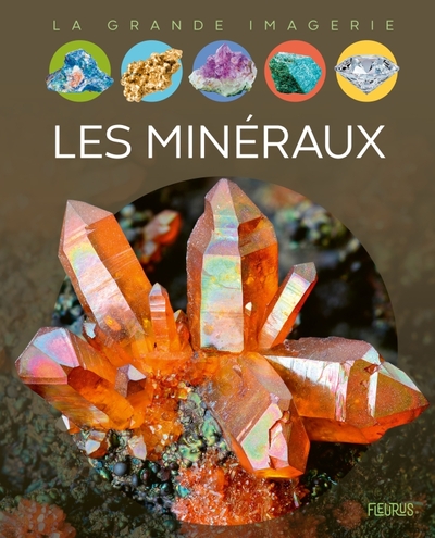 Les Mineraux - Philippe Simon