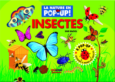 La Nature En Pop-Up - Insectes - David Hawcock