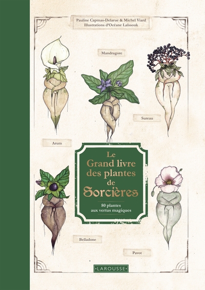 Le Grand Livre des plantes de sorcières - Pauline Capmas-Delarue