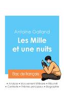 Réussir son Bac de français 2024 : Analyse des Mille et une nuits de Antoine Galland