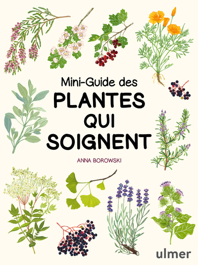 Mini-guide des plantes qui soignent