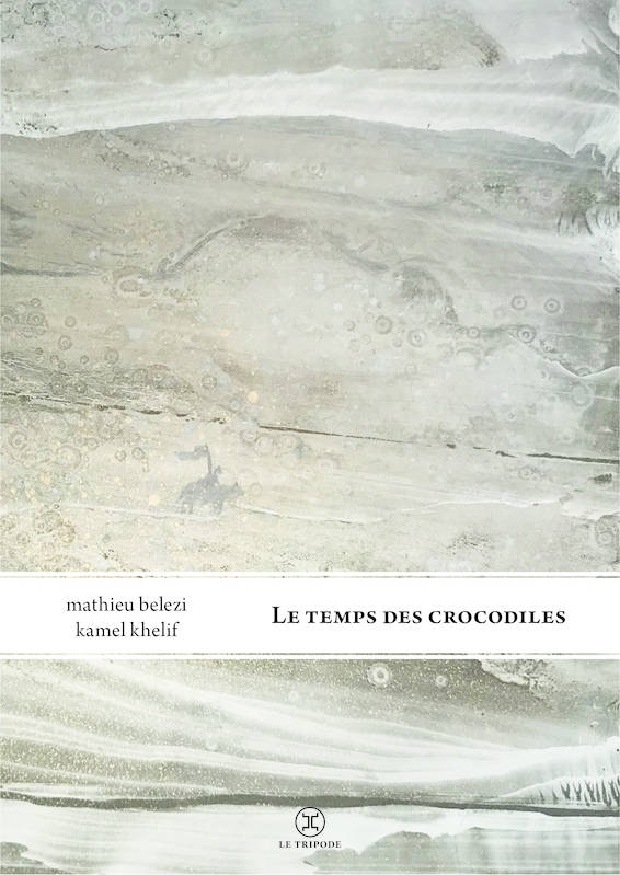 Le Temps des crocodiles